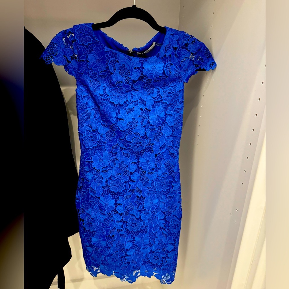 Blue Lace Alice and Olivia Sheath Mini Dress